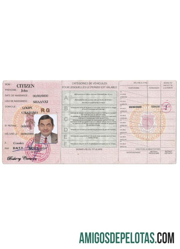 Carta de condução da Guiné amostra